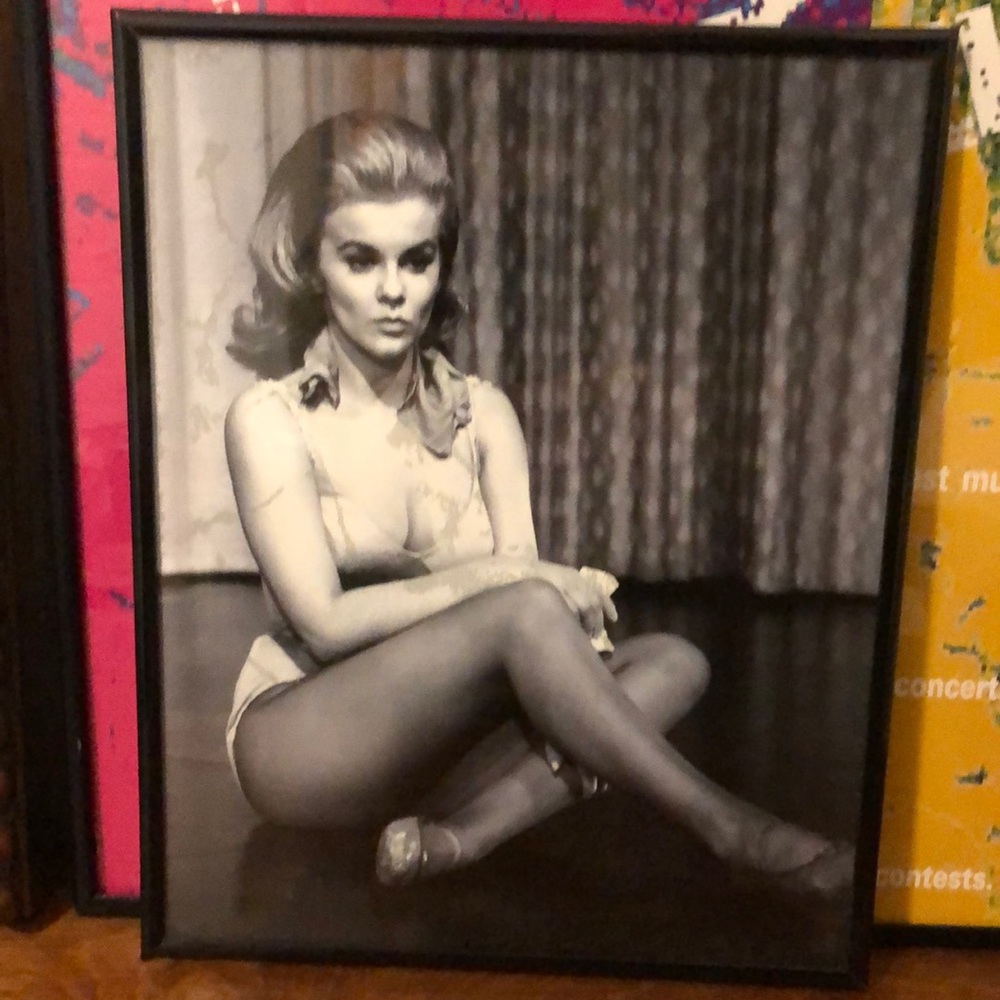Photo of Ann Margret